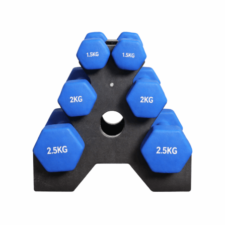 เซ็ตดัมเบล HOMEFITTOOLS ดัมเบล 3 คู่ SET 1.5/2/2.5 KG. สีน้ำเงิน_0